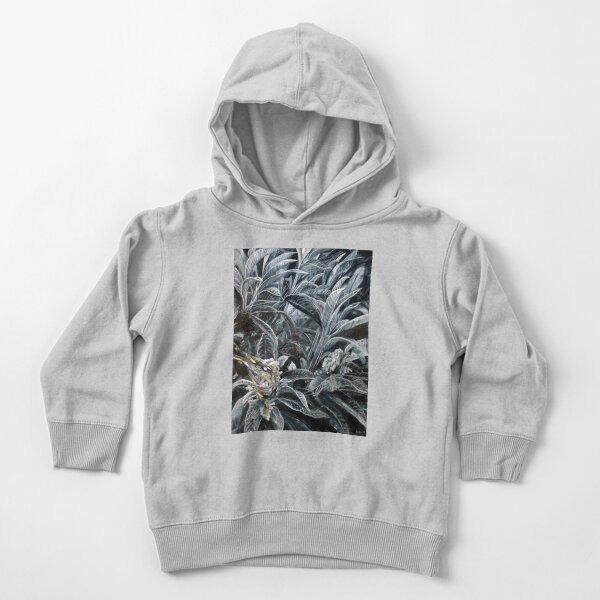 Honey Eaters by Avril Thomas Toddler Pullover Hoodie