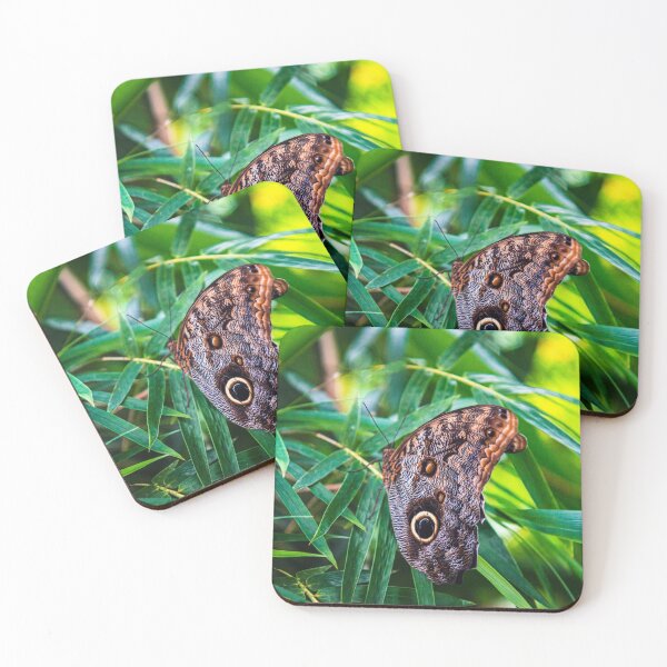 Item preview, Costa Rica Butterfly designed and sold by darren-j-mcleod.