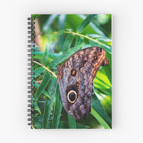 Item preview, Costa Rica Butterfly designed and sold by darren-j-mcleod.