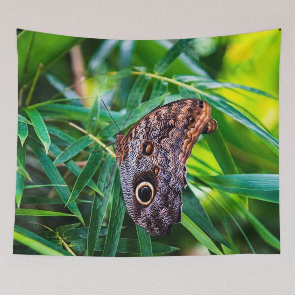 Item preview, Costa Rica Butterfly designed and sold by darren-j-mcleod.