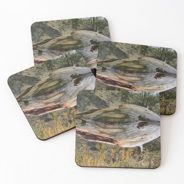 Item preview, Reflecting the Moment in Naches designed and sold by Larry Davis.
