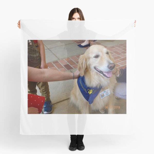 therapy dog scarf