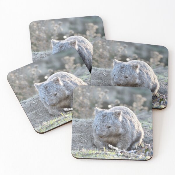 Item preview, Wombat in the sun designed and sold by notjustamwac.