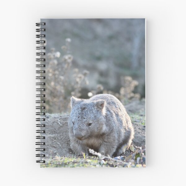 Item preview, Wombat in the sun designed and sold by notjustamwac.
