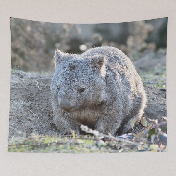 Item preview, Wombat in the sun designed and sold by notjustamwac.