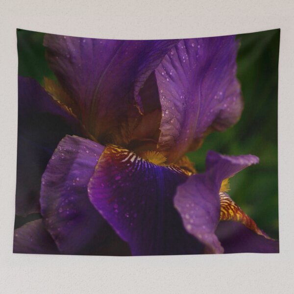 Item preview, Iris ~ iris designed and sold by laura-S.