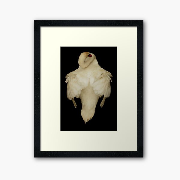 Item preview, Swan from Above designed and sold by Martin Ingley.