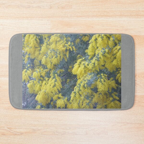 Item preview, Cootamundra Wattle in the Rain! Front garden, Australian Native Tree.  designed and sold by RitaBlom.