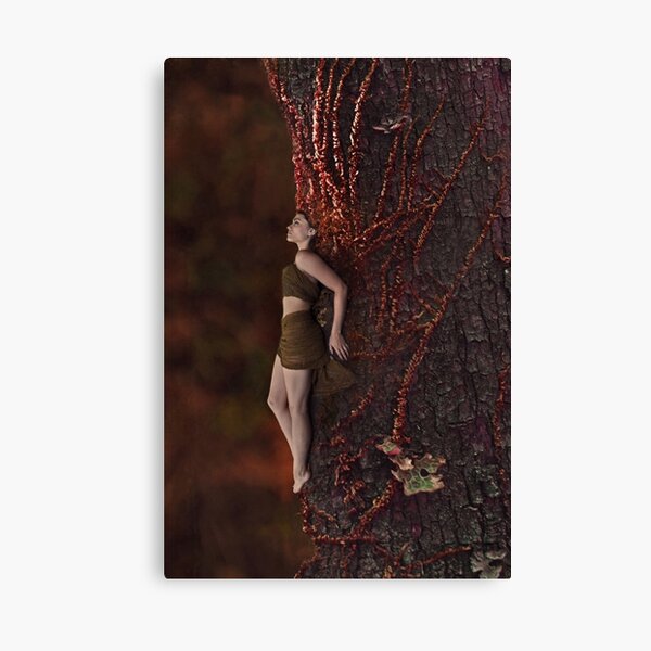 red ivy Canvas Print