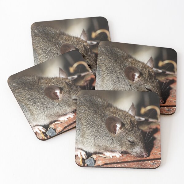 Item preview, Arrrr But Am I A Mouse? designed and sold by Joy Watson - Natural Light Photography .