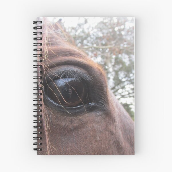 Item preview, From A Horse's Point Of View designed and sold by hannahfwatkins.