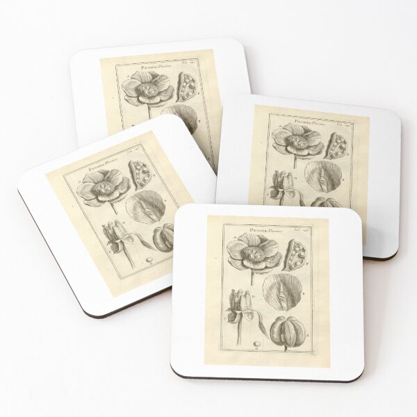 Item preview, Victorian botanical drawings designed and sold by myatticstudio.