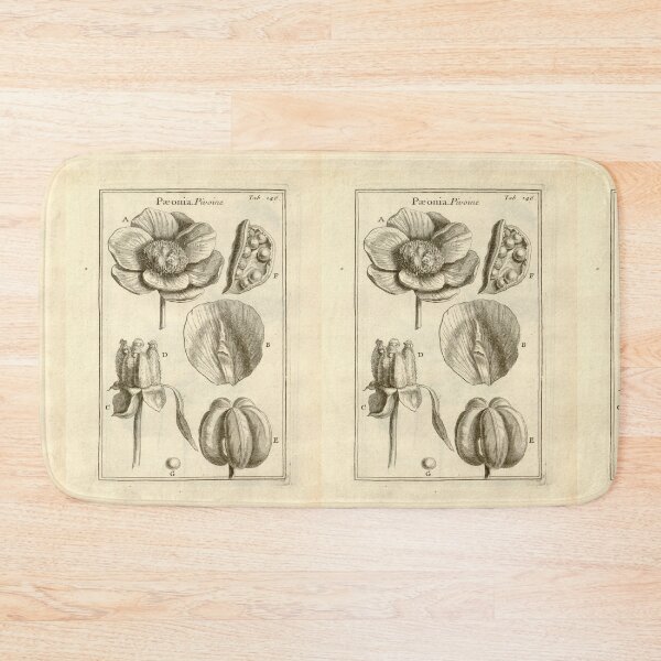 Item preview, Victorian botanical drawings designed and sold by myatticstudio.