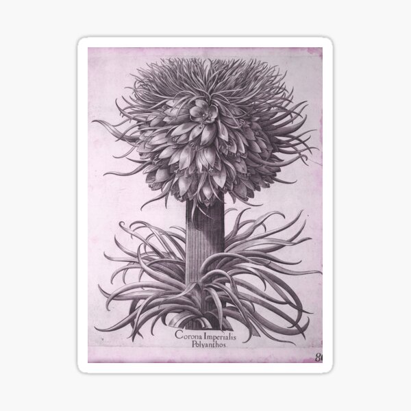 Artikel-Vorschau von Viktorianische botanische Zeichnungen, designt und verkauft von myatticstudio.