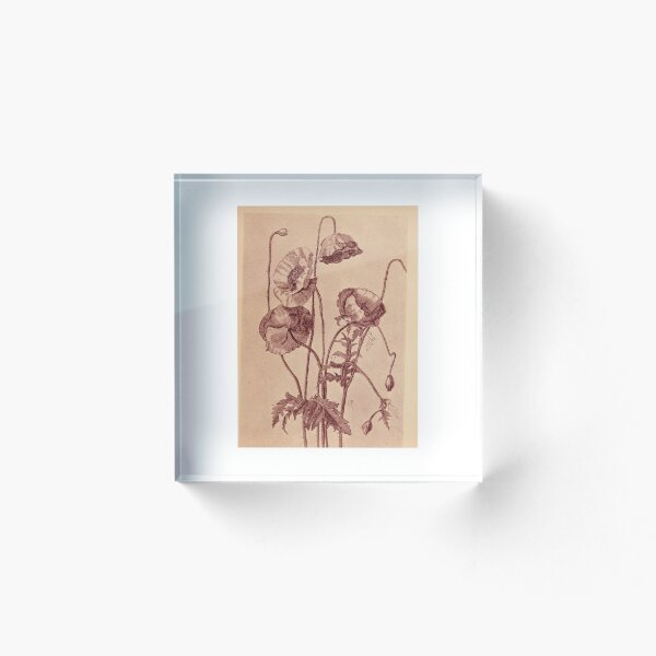 Item preview, Victorian botanical drawings designed and sold by myatticstudio.
