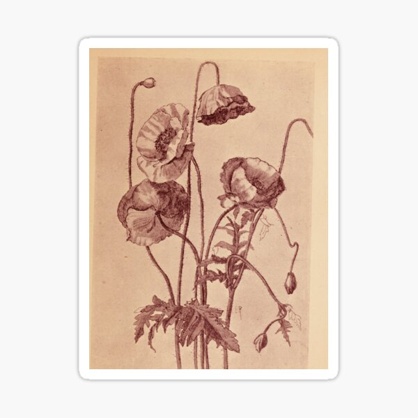 Artikel-Vorschau von Viktorianische botanische Zeichnungen, designt und verkauft von myatticstudio.