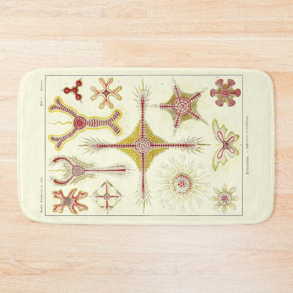 Item preview, Plate 11. Discoidea, protozoans that produce intricate mineral skeletons.  designed and sold by Squirrox.