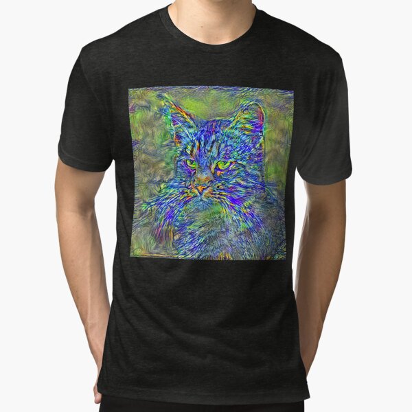 Tri-blend T-Shirt