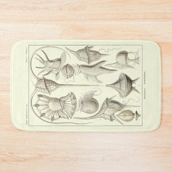Item preview, Plate 14. Peridinae, a grouping of plankton. designed and sold by Squirrox.