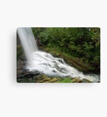 Mythical Falls - Toronto Zoo Canvas Print