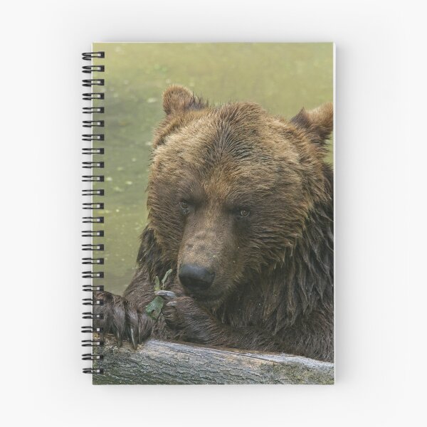 Item preview, Grizzly Bear In The Lake designed and sold by rawshutterbug.