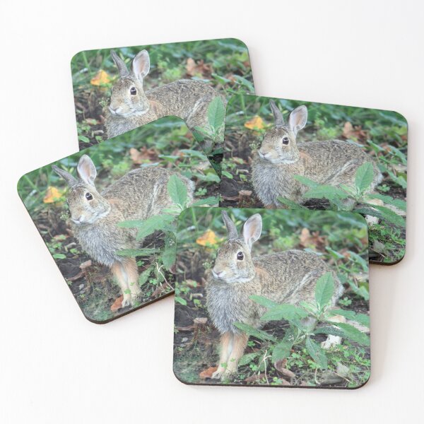 Item preview, Eastern Cottontail Rabbit designed and sold by Strawflower Oasis.