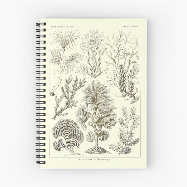 Item preview, Fucoidea (now Fucaceae), a family of seaweed. designed and sold by Squirrox.