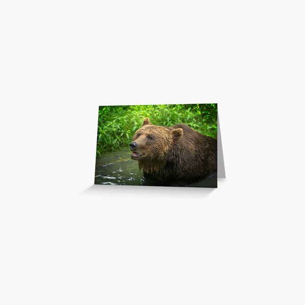 Grizzly Bear Face Greeting Cards Redbubble - grizzly bear ears roblox