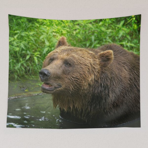 Item preview, Grizzly Bear Close-Up designed and sold by rawshutterbug.