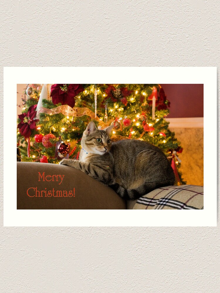 Alternate view of Christmas Kitty Art Print