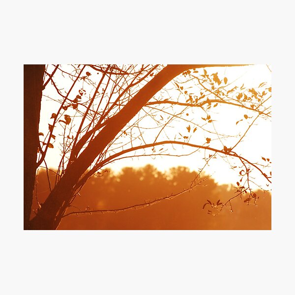Item preview, Misty Sunset Tree  designed and sold by farmbrough.