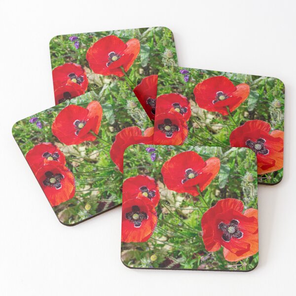 Item preview, Common poppy flowers  designed and sold by Martin Leber.