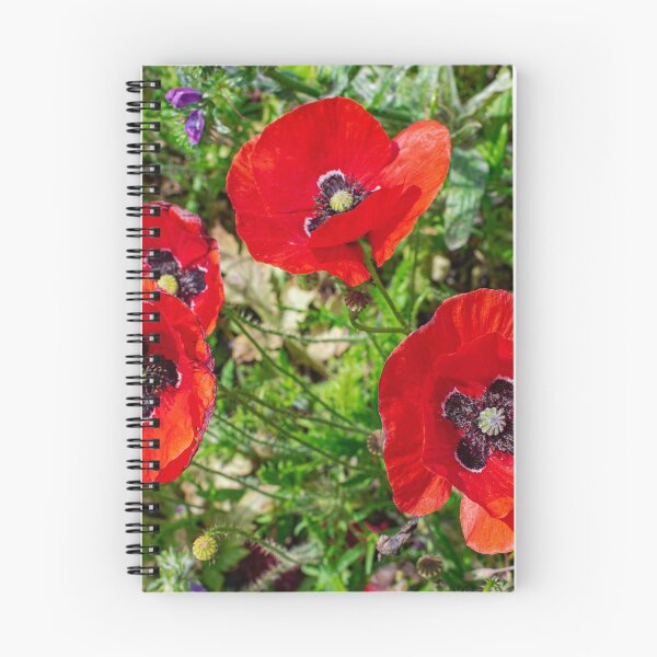Item preview, Common poppy flowers  designed and sold by Martin Leber.