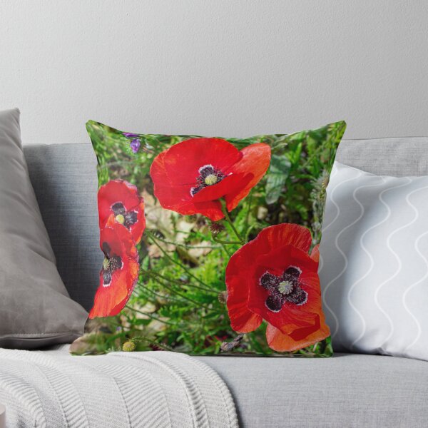 Item preview, Common poppy flowers  designed and sold by Martin Leber.