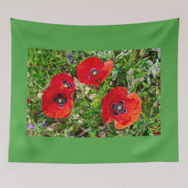 Item preview, Common poppy flowers  designed and sold by Martin Leber.