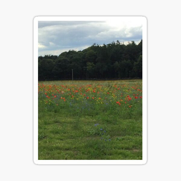 Wildflowers in Bloom Sticker