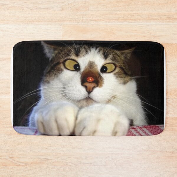 Item preview, Funny Crossed Eyed Cat And Ladybird designed and sold by MurphyMorganGifts.