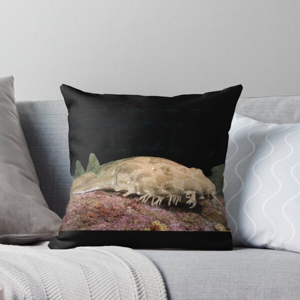 Item preview, Spotted Wobbegong at the entrance to Sydney Harbour designed and sold by Erik Schlogl.