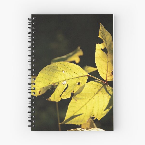 Item preview, Light plants designed and sold by KensLensDesigns.