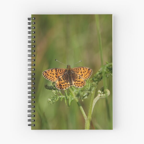 Item preview, A rather rare butterfly   designed and sold by frogs123.