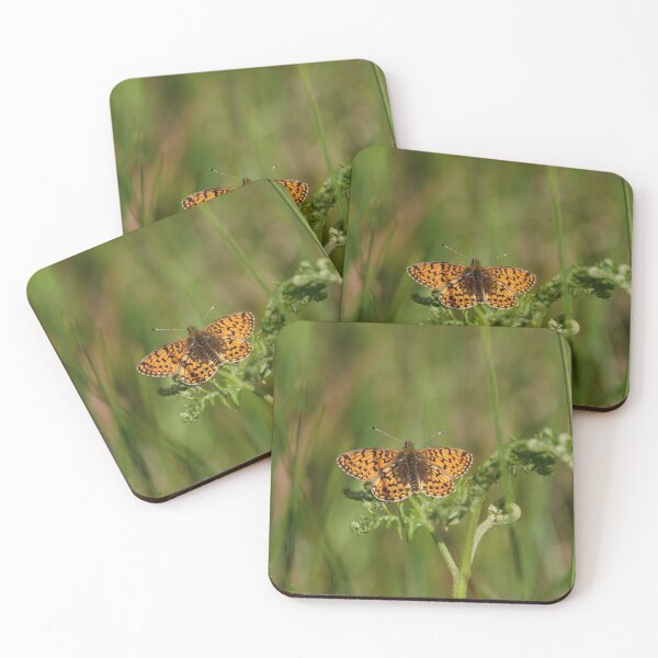 Item preview, A rather rare butterfly   designed and sold by frogs123.