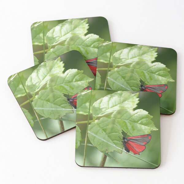 Item preview, The Cinnabar  designed and sold by frogs123.