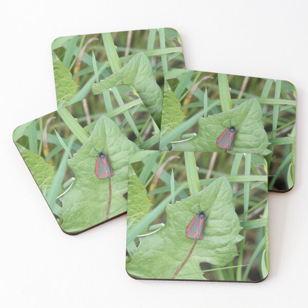 Item preview, The Cinnabar ( Tyria jacobaea ) designed and sold by frogs123.