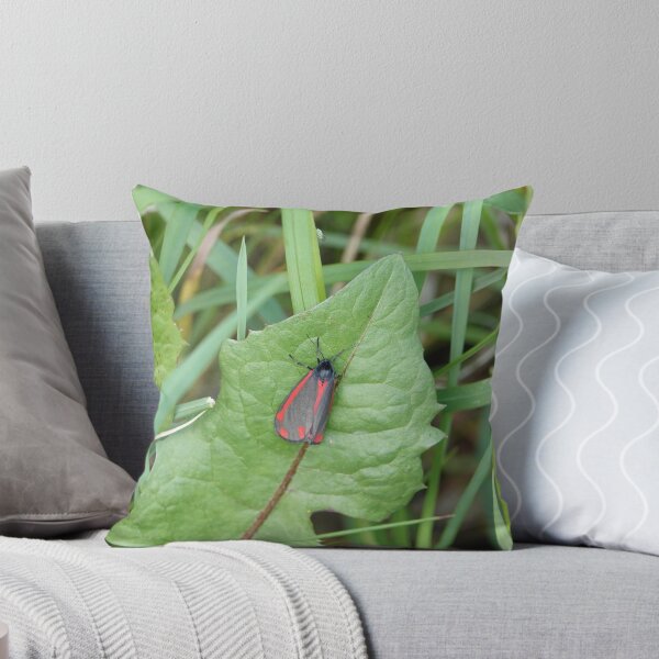 Item preview, The Cinnabar ( Tyria jacobaea ) designed and sold by frogs123.