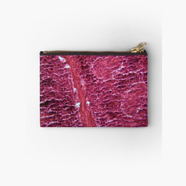 Item preview, Pancreas Cells under the Microscope designed and sold by Zosimus.