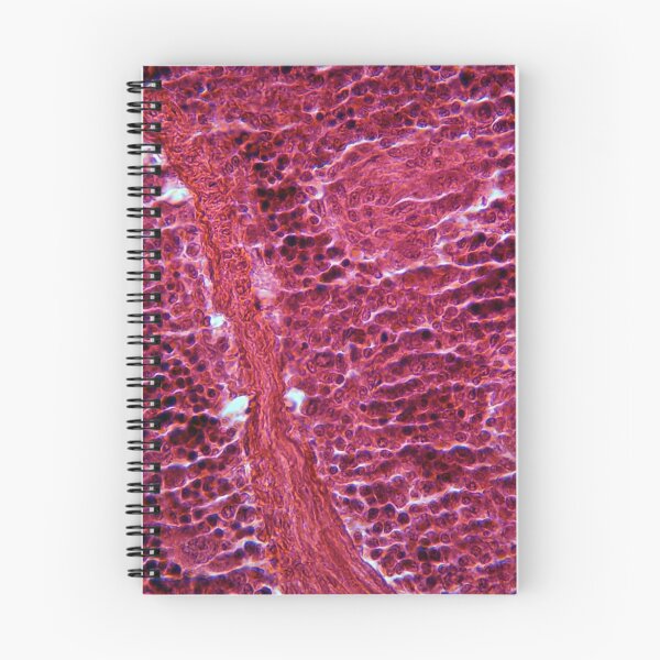 Item preview, Pancreas Cells under the Microscope designed and sold by Zosimus.
