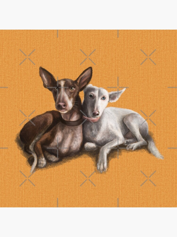 The Podenco by elspethrose