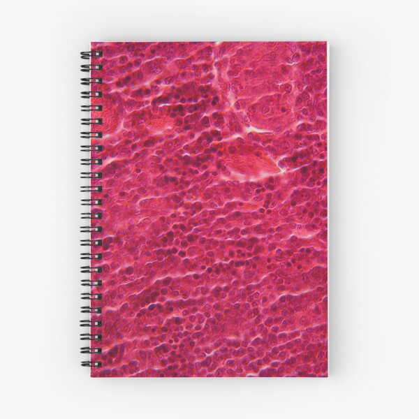 Item preview, A section trough pancreas cells under the microscope. designed and sold by Zosimus.