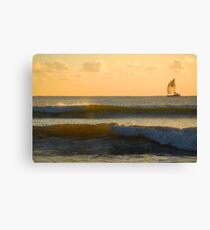 Bribie Island in the Sun (6) Canvas Print