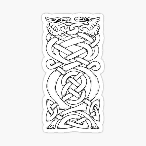 Twisted Celtic Dragons Sticker